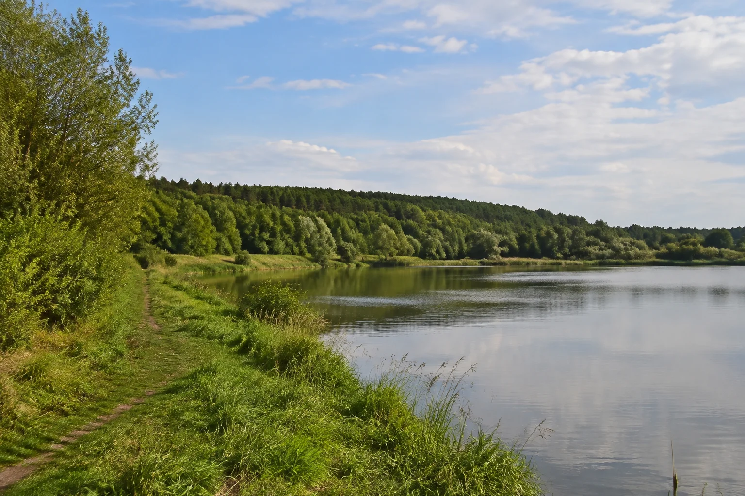 Rubbenbruchsee mit flachem grünem Ufer und Heger Holz im Hintergrund