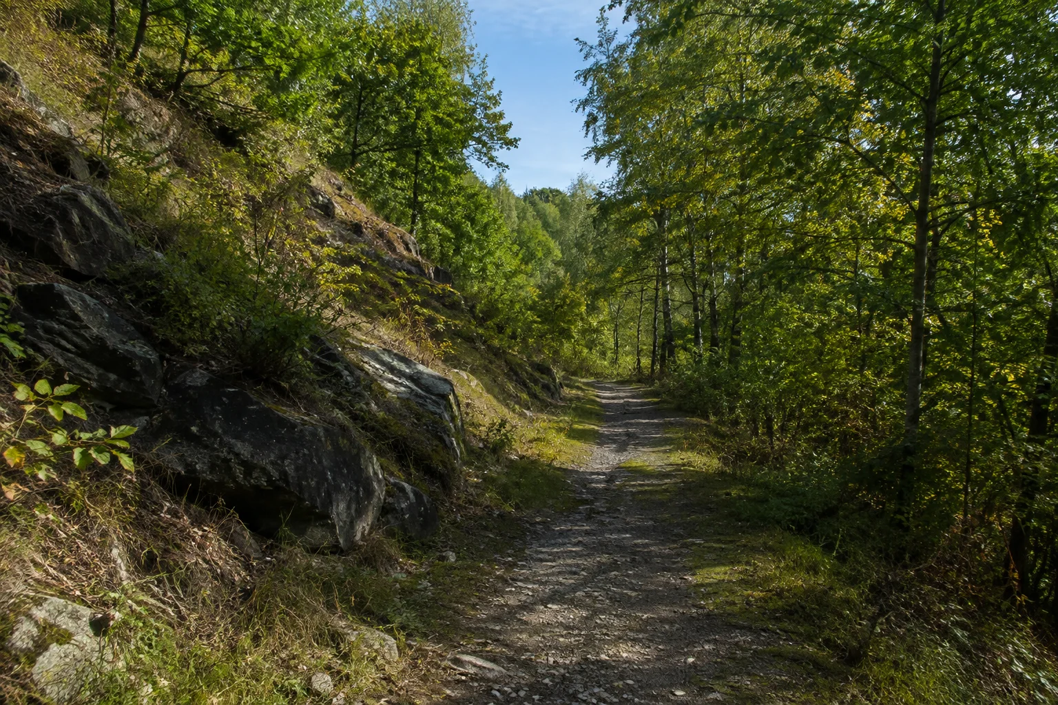 Osnabrück: Piesberg Industriemuseum: Waldweg am Piesberg außerhalb des Steinbruchs mit grobem karbonischem Stein und niedrigen Waldhängen