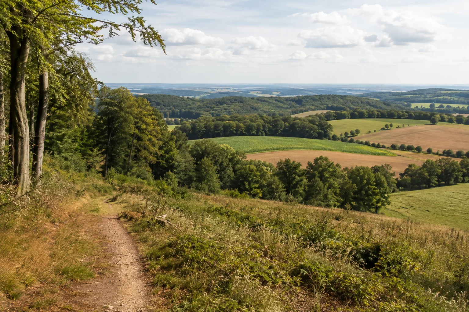 Hügelland bei Oldendorf mit Buchenwald und kleinen Ackerparzellen