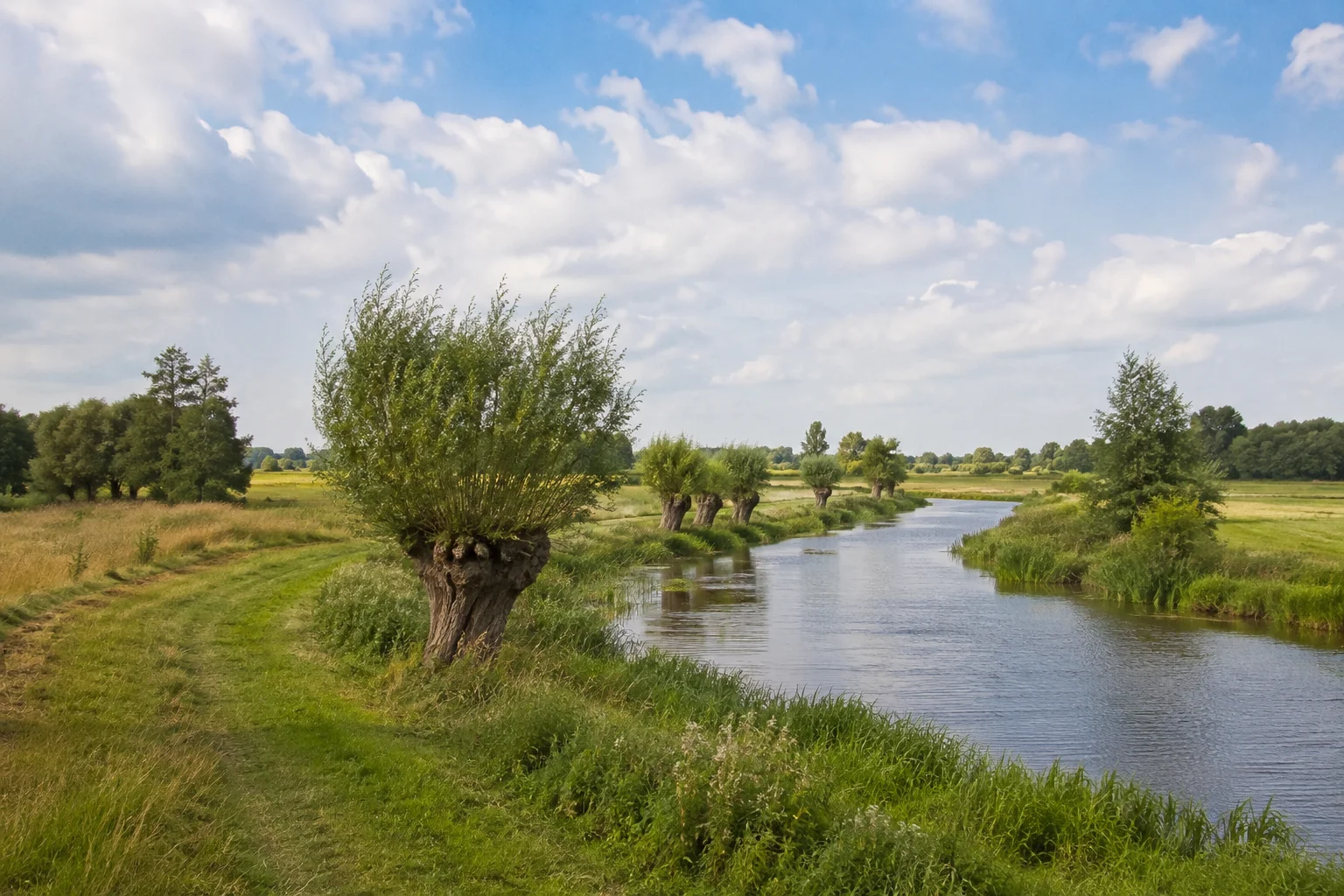 Artländer Ebene bei Quakenbrück mit Hasearm, Wiesen und Kopfweiden