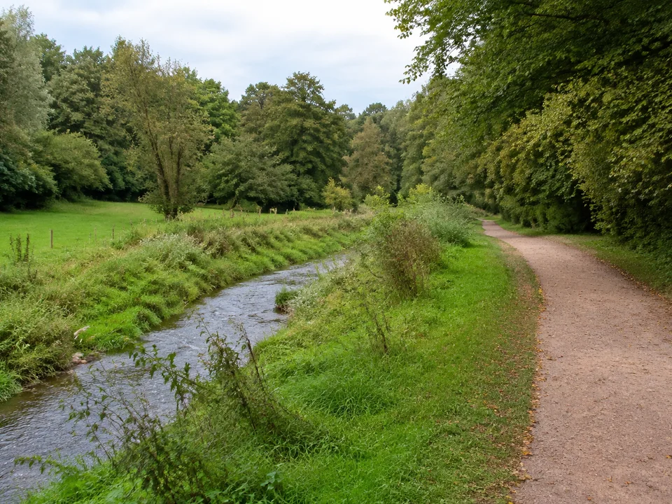 Sandbecker Bachlandschaft: Kleiner Bach in einem grünen Laubwald- und Wiesenraum am Stadtrand, niedrige Geest und breiter Spazierweg