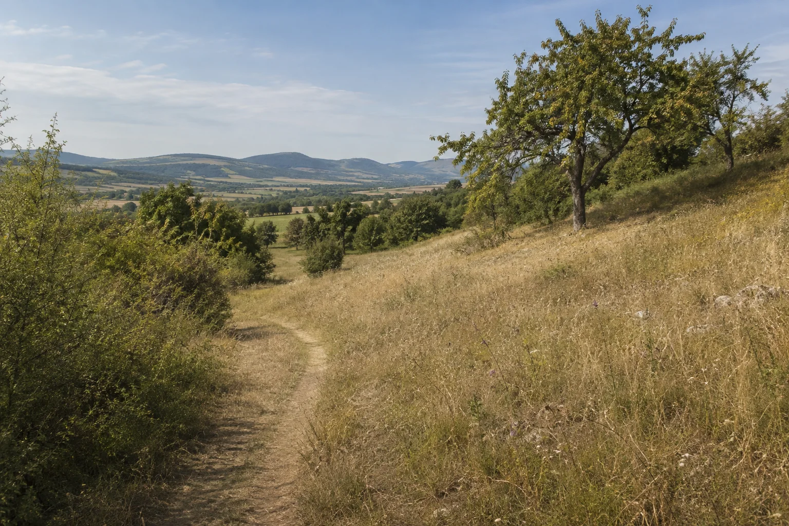 Ostheimer Vorderrhön: trockener Wiesenweg zwischen Streuobstbäumen, Hecken und Kalkmagerrasen auf niedrigen Hügeln.