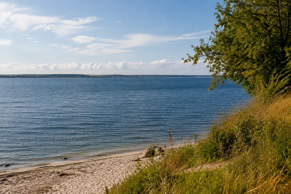 Kieler Fördeufer: Blick über eine breite Förde mit niedrigem gegenüberliegendem Ufer, Sand und Küstenbäumen im Vordergrund
