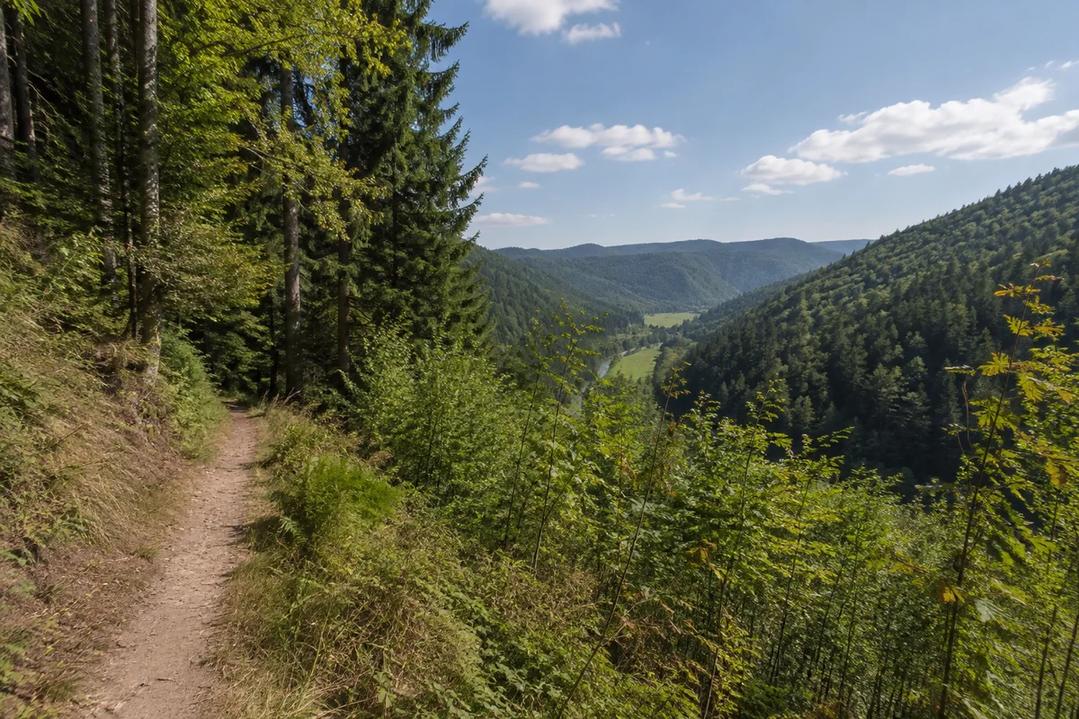 Tiefer Taleinschnitt der oberen Kinzig mit Waldaufstiegen auf die östlichen Höhen.