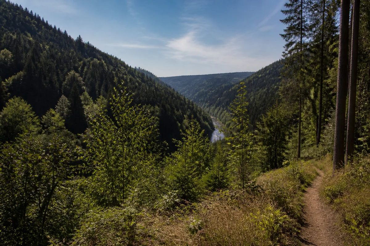 Schiltachtal zwischen steilen, dicht bewaldeten Bergrücken.