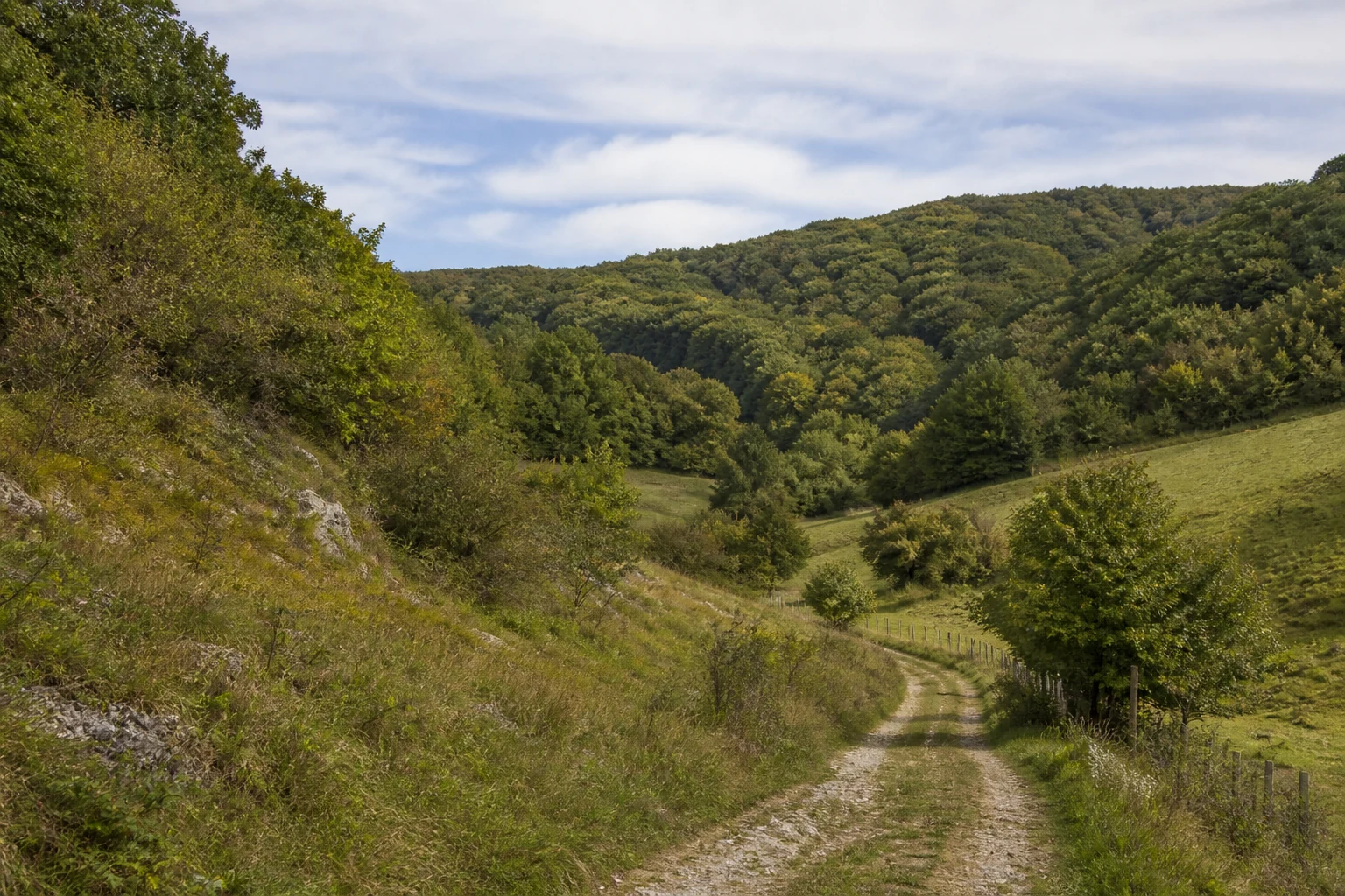 Bosseborner Tal bei Ottbergen