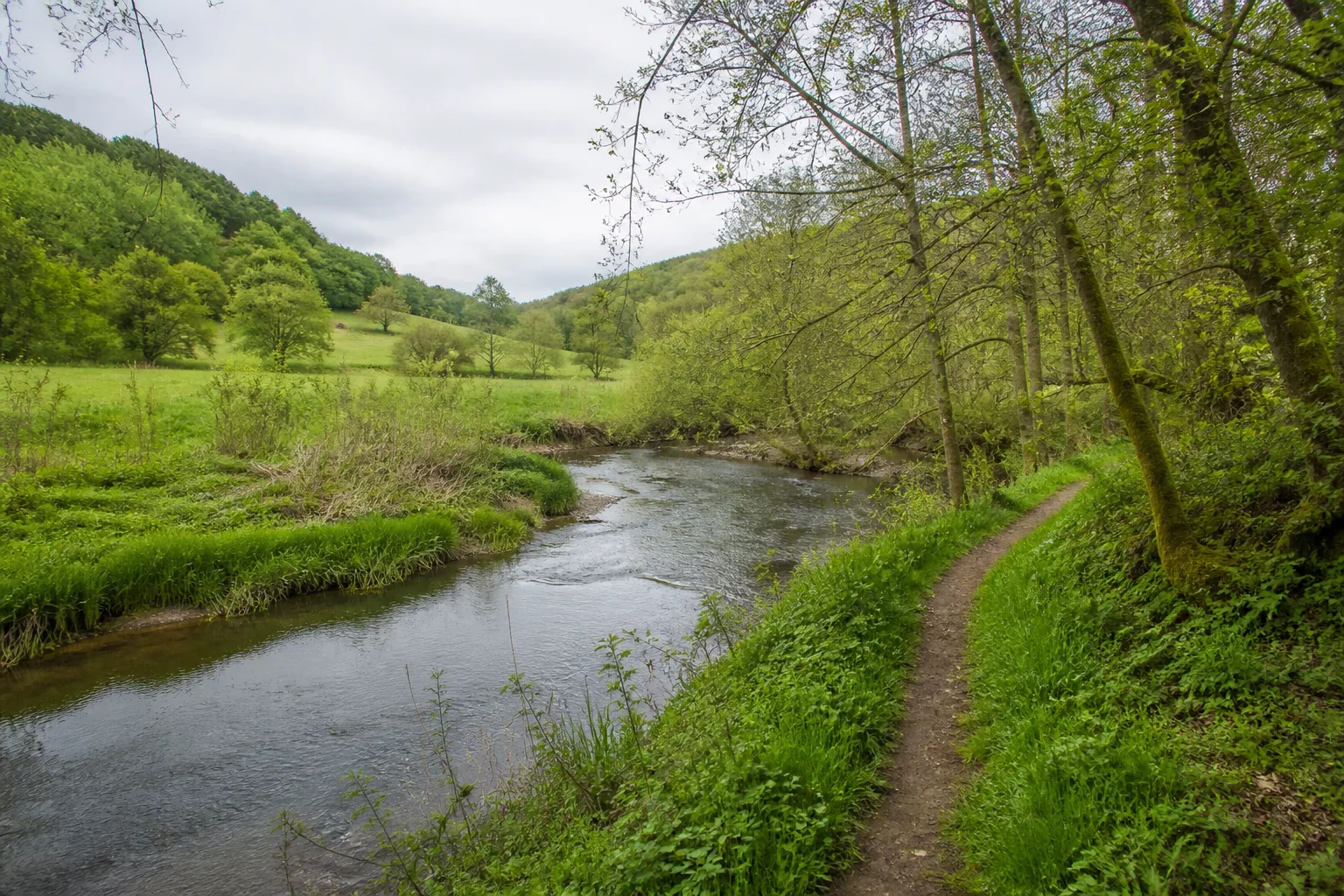 Naturpfad an der Sülz bei Immekeppel in Overath