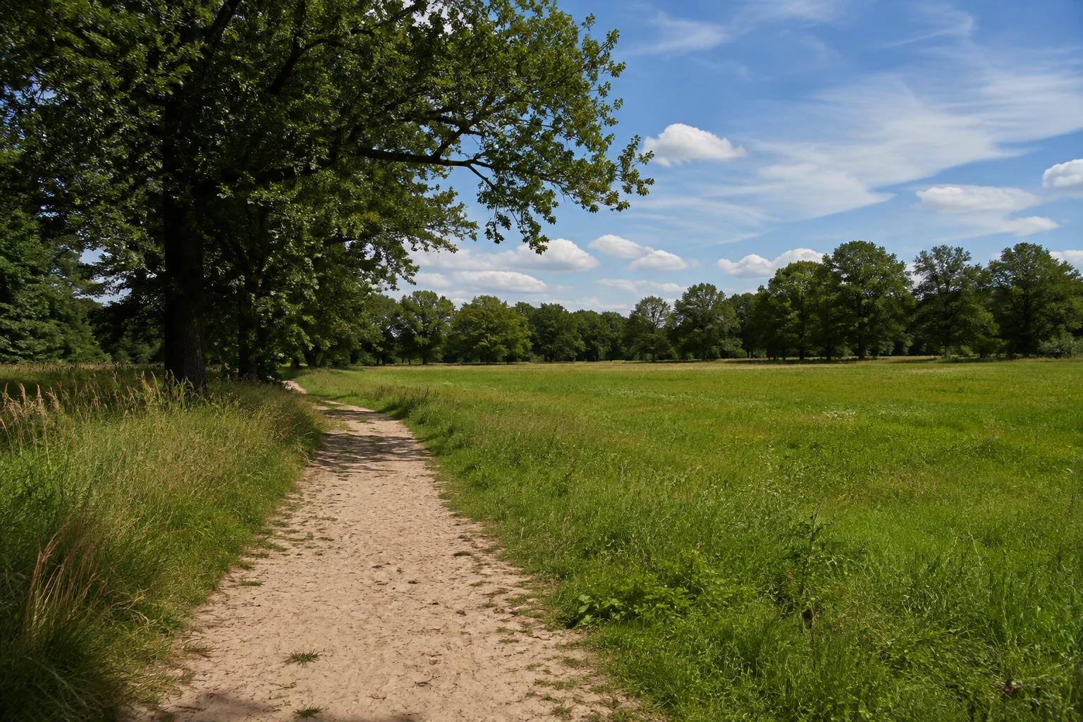 Niederung bei Tunxdorf mit sandigem Weg, Eichen und Wiesen