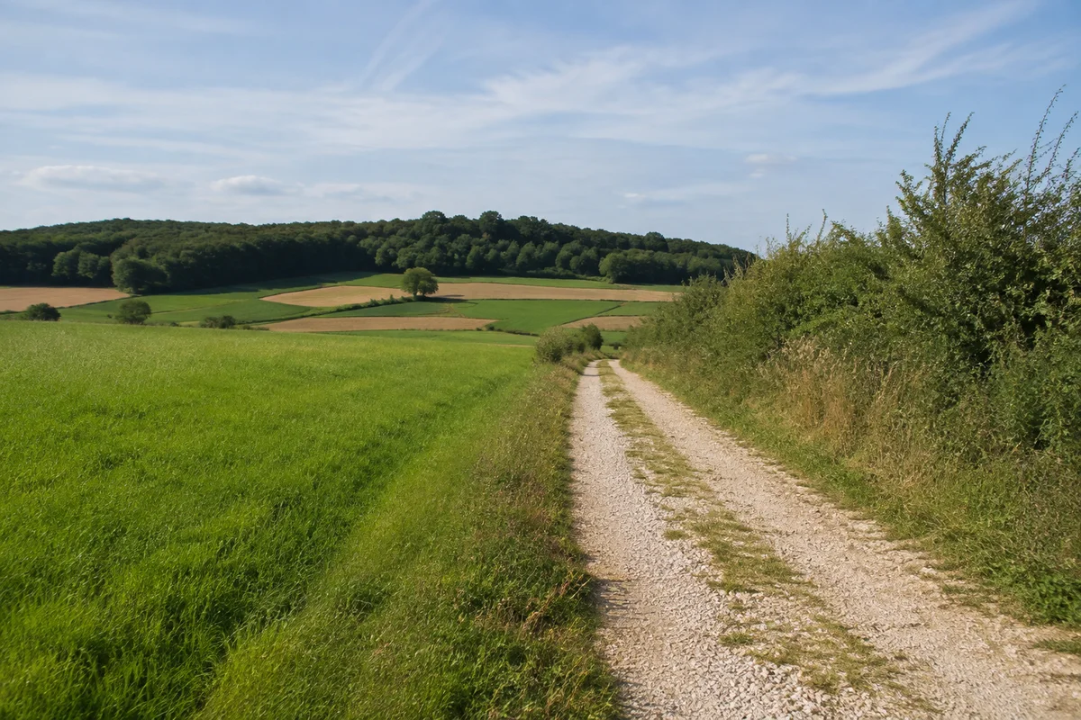 Wiesen und Ackerfluren bei Osterdorf nördlich von Pappenheim, Hecken an einem kalkigen Feldweg und Wald am Horizont.