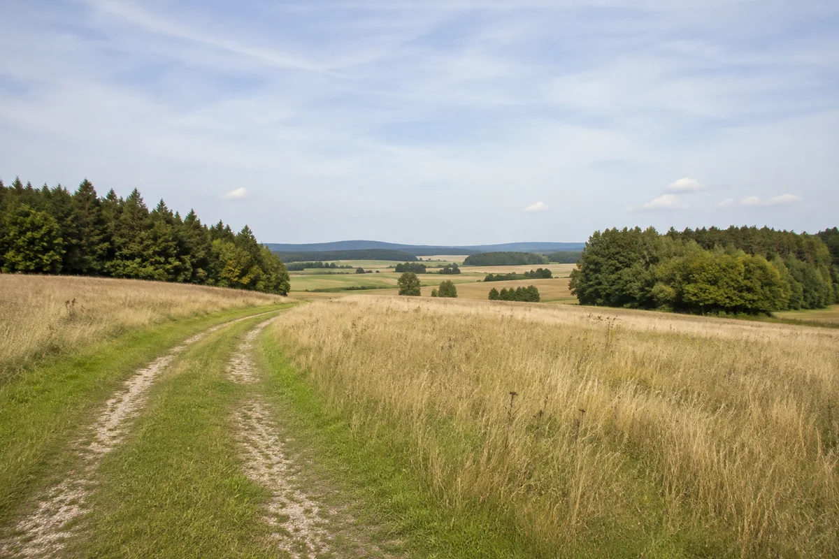 Offene Felder bei Willenhofen auf der südlichen Jurahochfläche, Feldweg und Waldinseln, sanftes Relief.