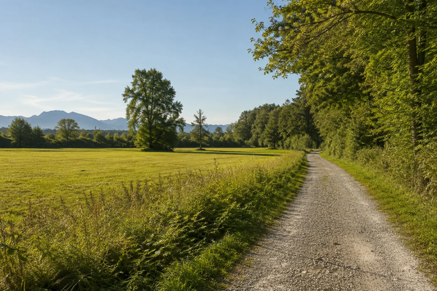 Birkland: offene landwirtschaftliche Wiesen am Lechrain, Laubgehölze und ruhiger Kiesweg