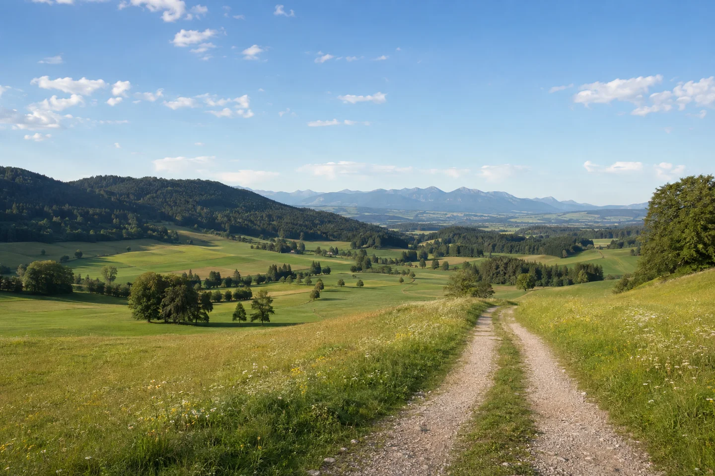 Peiting: Peiting: voralpine Wiesenmulde mit bewaldeten Hügeln, Feldweg und fernem Gebirge