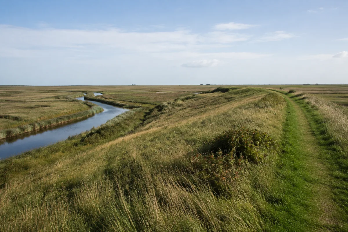 Pellworm Warftlandschaft: Niedrige grasige Siedlungswarft in flacher Marsch mit Gräben, ohne erfundene markante Gebäude