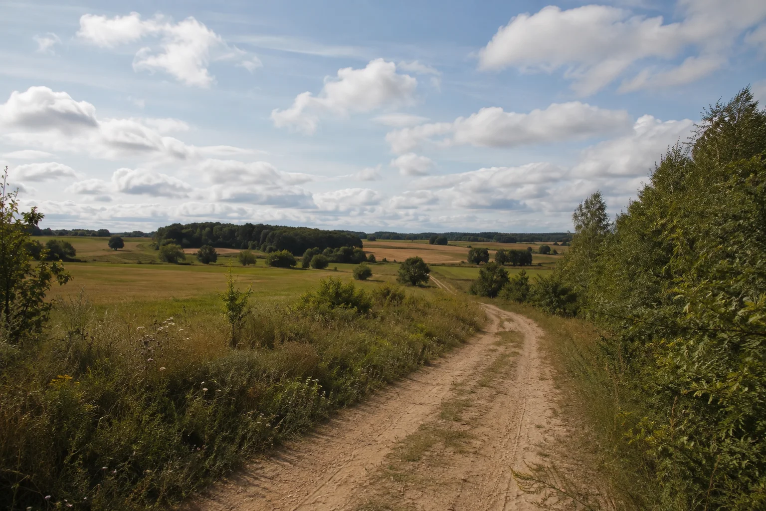 Spiegelhagener Landschaft: leicht gewellte Felder mit kleinen Waldstücken und sandigem Weg