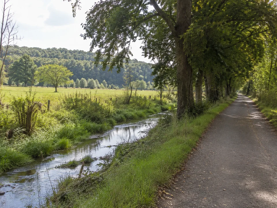 Krosigker Talgrün: Kleiner Bach mit Wiesen, alten Laubbäumen und einem befestigten Dorfweg im niedrigen Hügelland