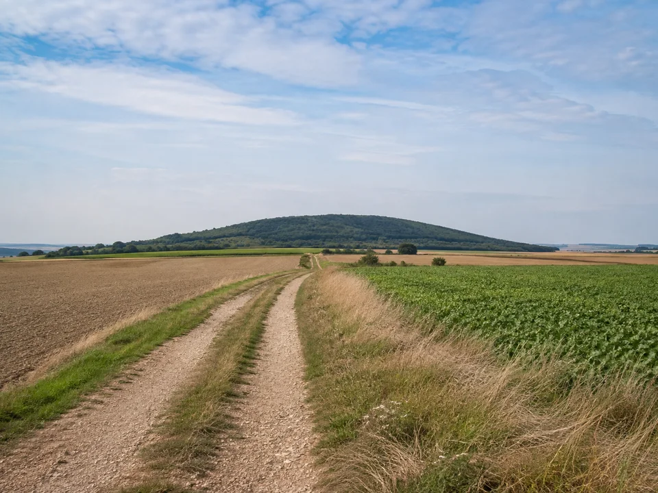 Felder vor dem Petersberg: Offener Feldweg durch eine breite Ackerlandschaft mit niedriger bewaldeter Kuppe in der Ferne