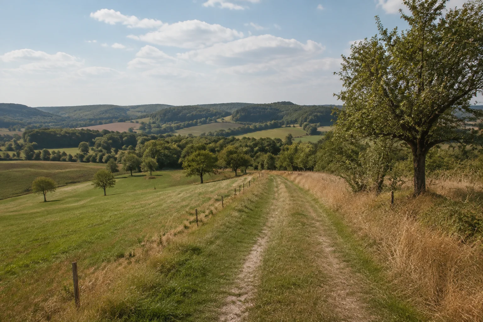 Pfälzer Bergland: Kuseler Bergland: weiter Wiesenweg über niedrige offene Hügel mit Obstbäumen, Feldfluren und verstreuten Laubwäldern.