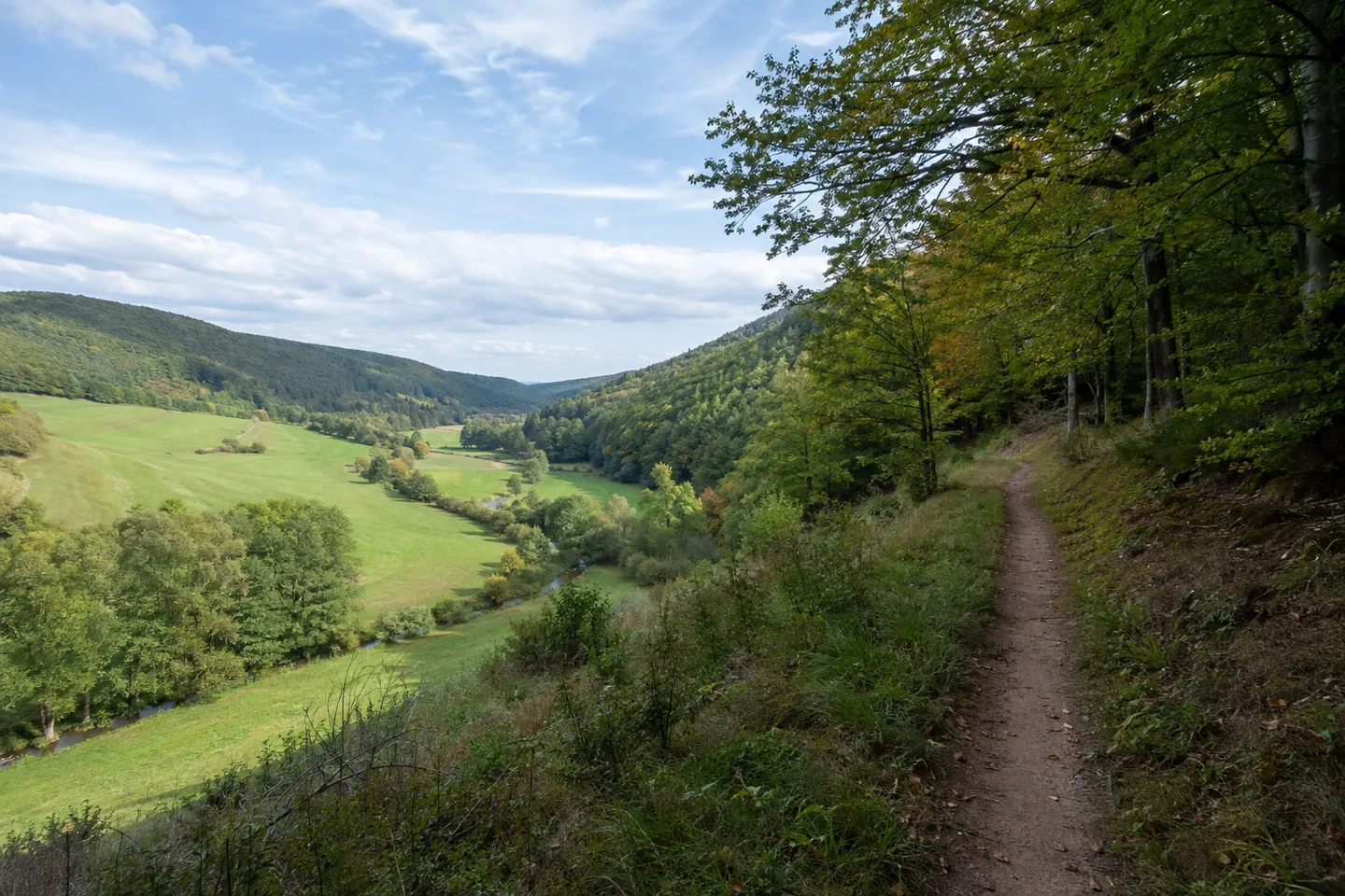 Breites Glantal bei Meisenheim mit Wiesen und bewaldeten Hängen, Weg am Talrand ohne erfundene Altstadt.