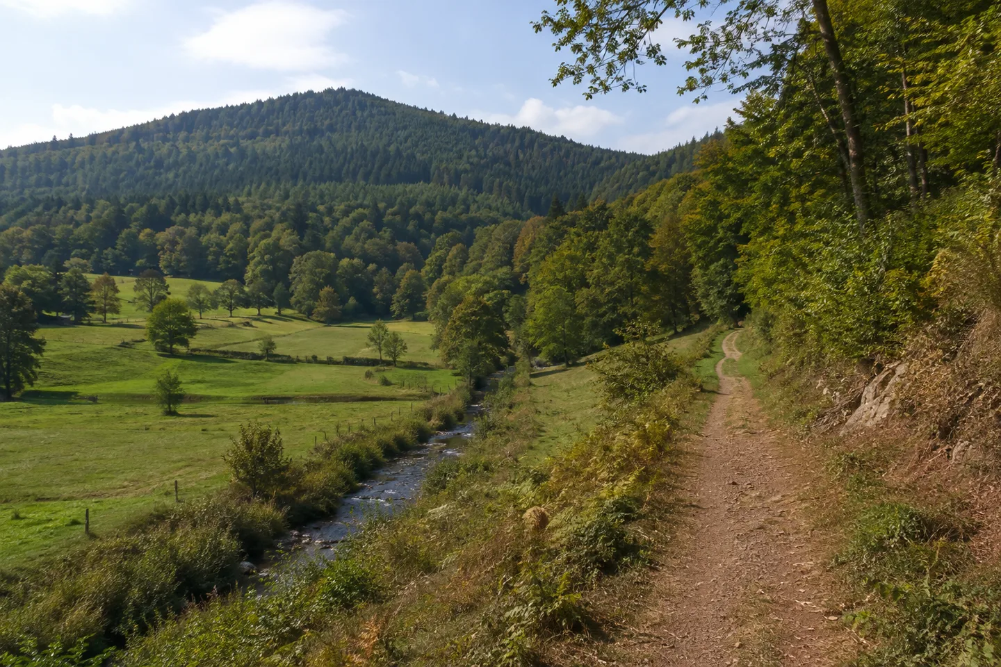 Lautertal bei Wolfstein unter dem dicht bewaldeten Königsberg, niedrige Mittelgebirgshänge und Talwiesen.