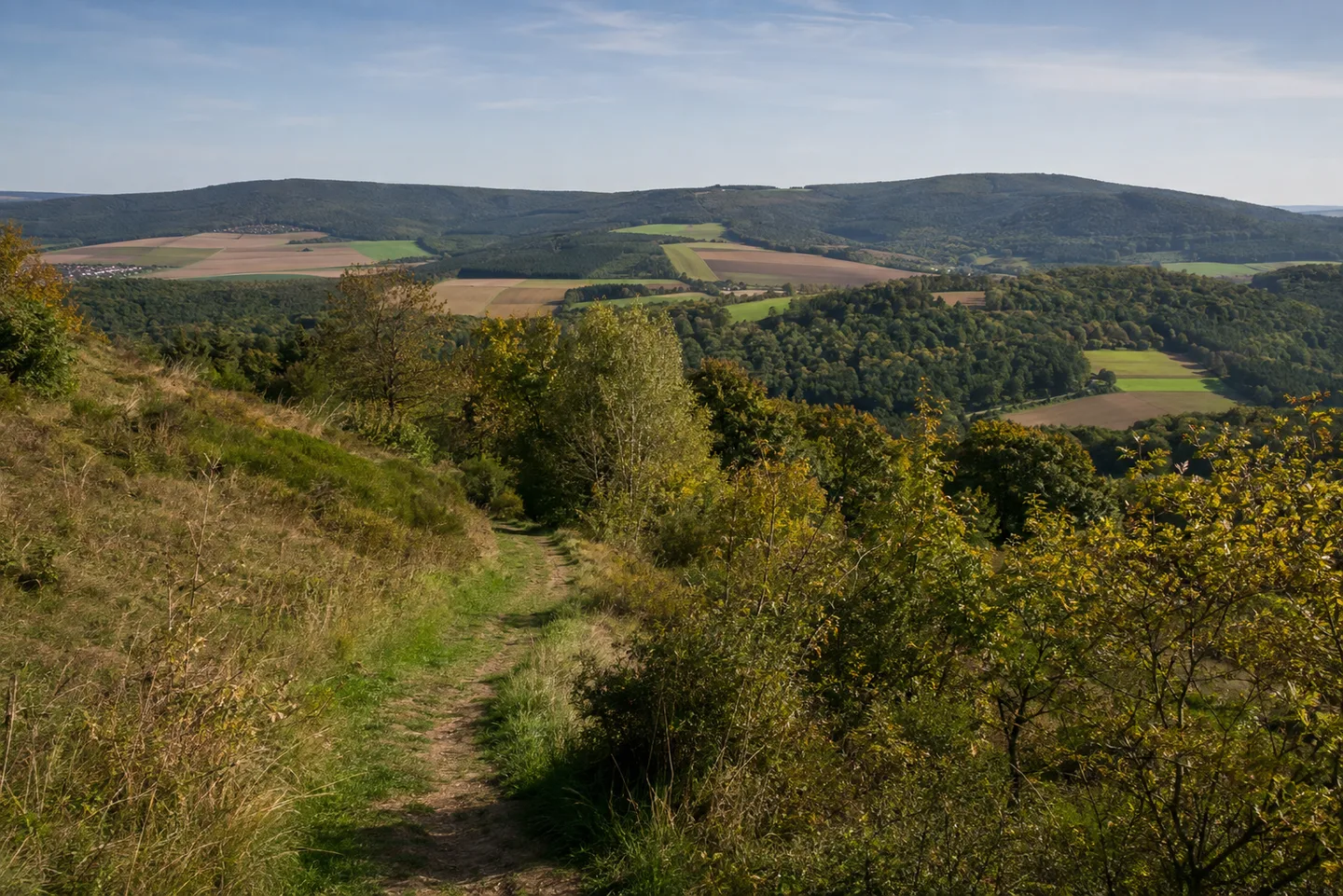 Pfälzer Höhenweg: Wechsel von Wiesen, Äckern und bewaldeten Hügeln bei Winnweiler im Nordpfälzer Bergland.