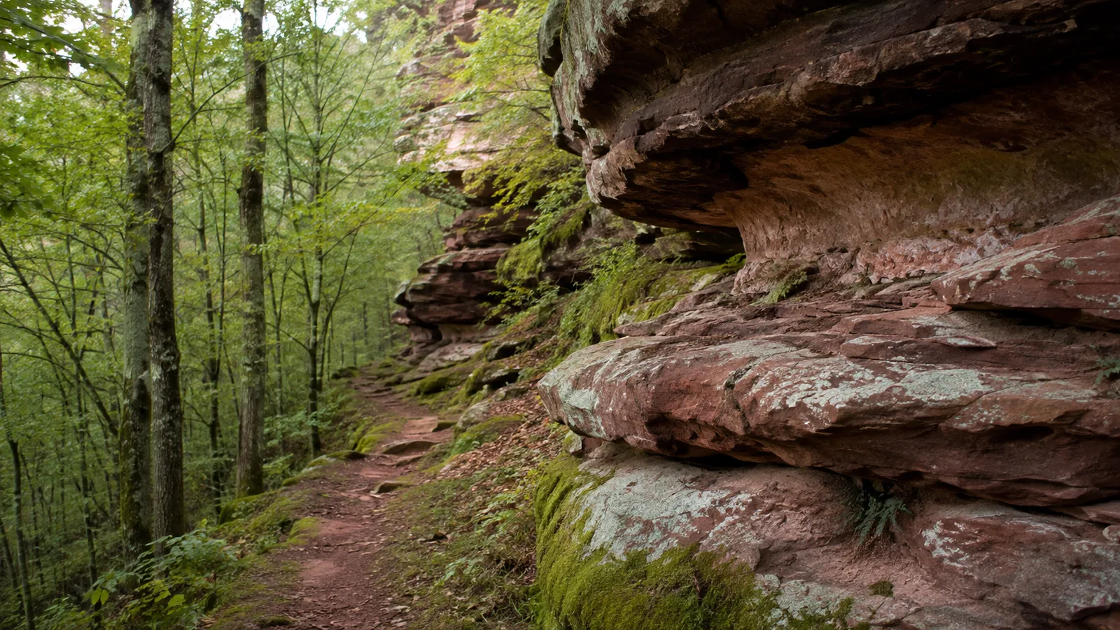 Waldpfad im Wasgau: rote Felsen entlang südlicher Etappen