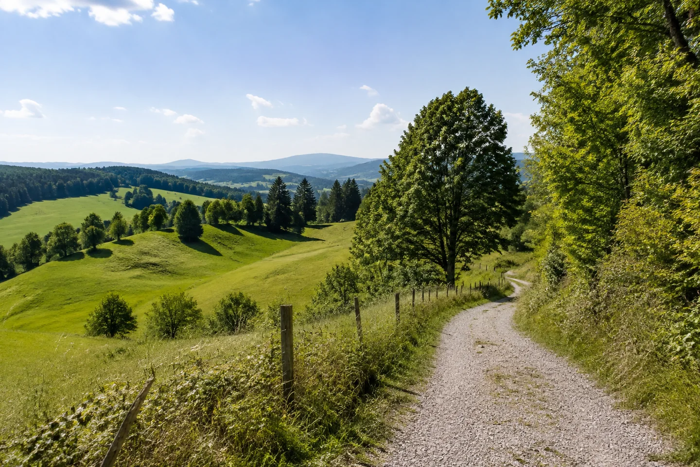 Wessobrunner Landschaft: sanfte grüne Hügel, Buchen und Fichten mit schmalem Kiesweg, keine monumentalen erfundenen Bauten