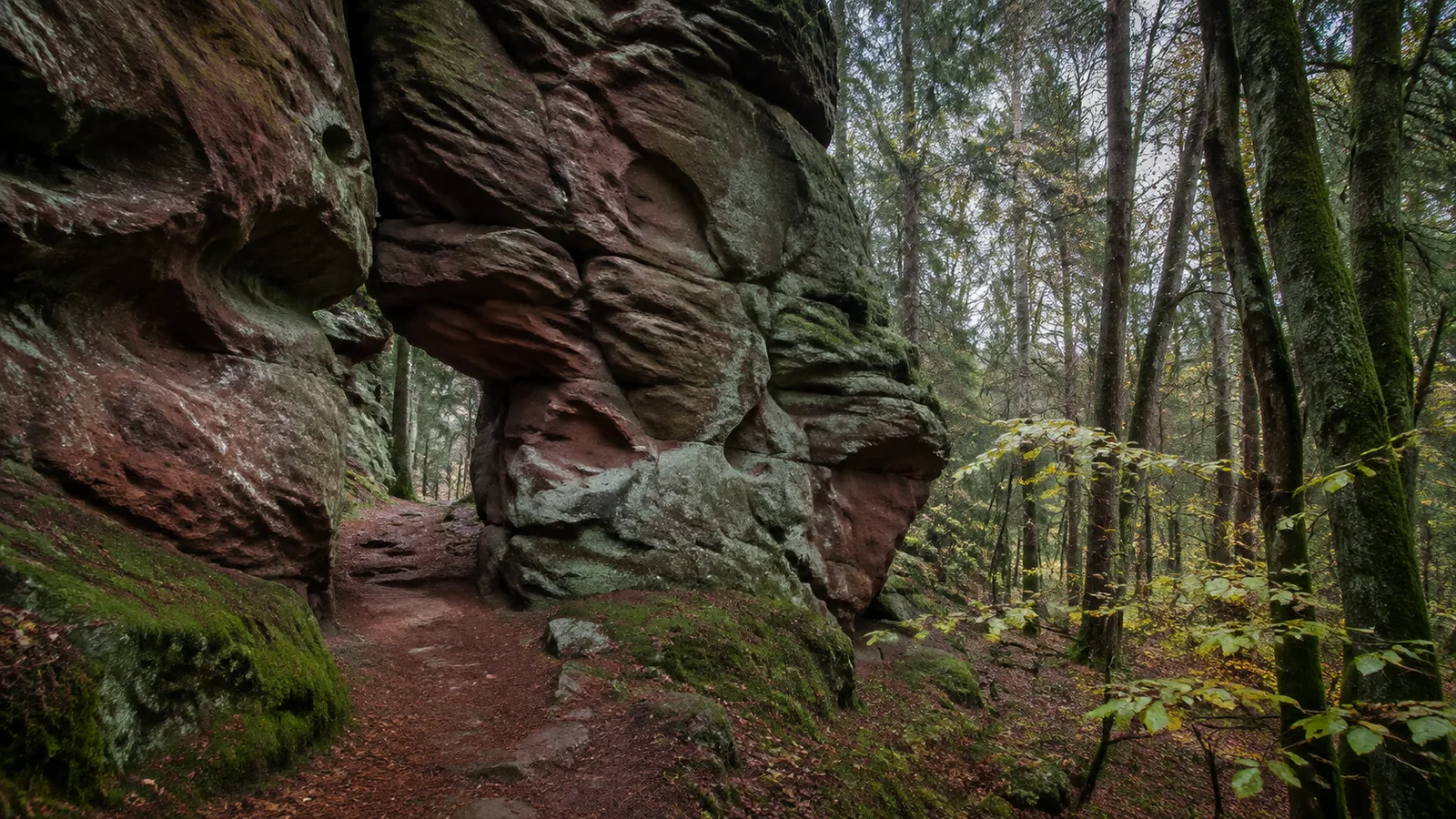 Gersbachtal: Mischwald und schattiger Pfad