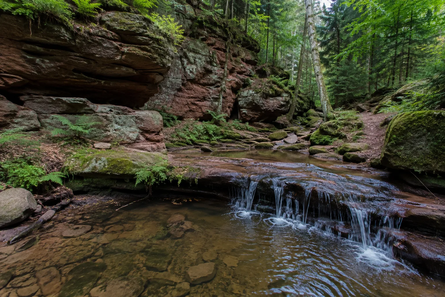 Pirmasens: Pirmasenser Felsenwald: Buntsandstein und Waldpfad