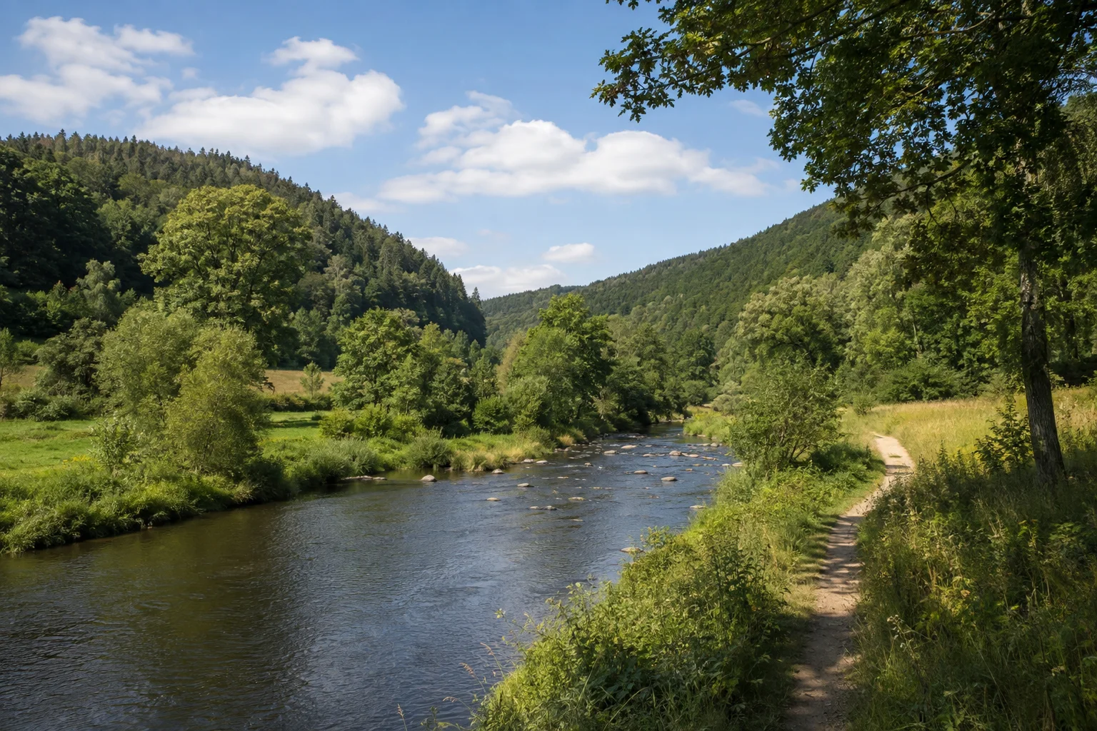 Elster bei Straßberg: kleiner Fluss zwischen bewaldeten Hängen und schmalen Uferwiesen