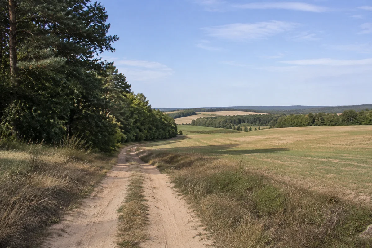 Hoch gelegene sanfte Feldflur bei Mannholz im Osten von Pleinfeld, Waldränder aus Kiefern und Laubbäumen, sandiger Weg.