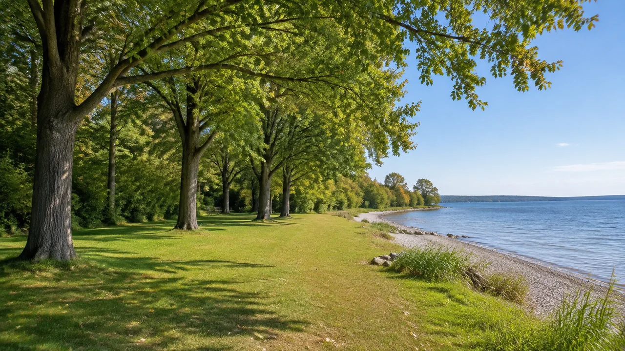 Pöcking: Possenhofen Bahnhof: Possenhofener öffentliches Seeufer im Paradies: flache Wiese unter hohen Laubbäumen, heller Kiesrand am Starnberger See