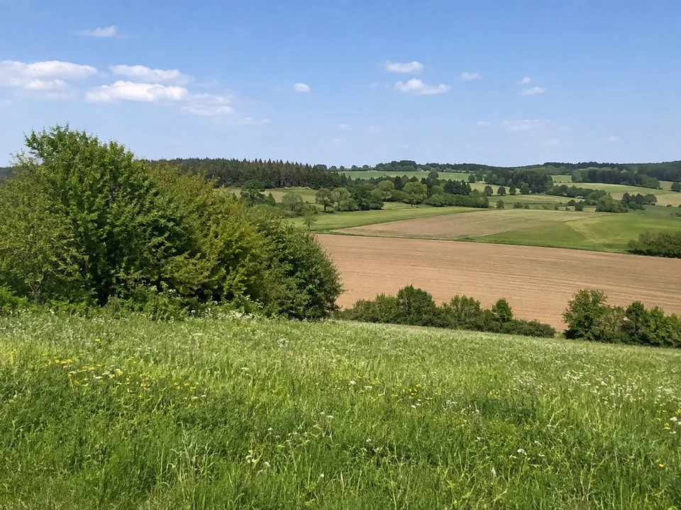 Höhen bei Heldmannsberg: Offene wellige Jura-Flur bei Heldmannsberg mit Acker, Wiese und lockerem Heckensaum.