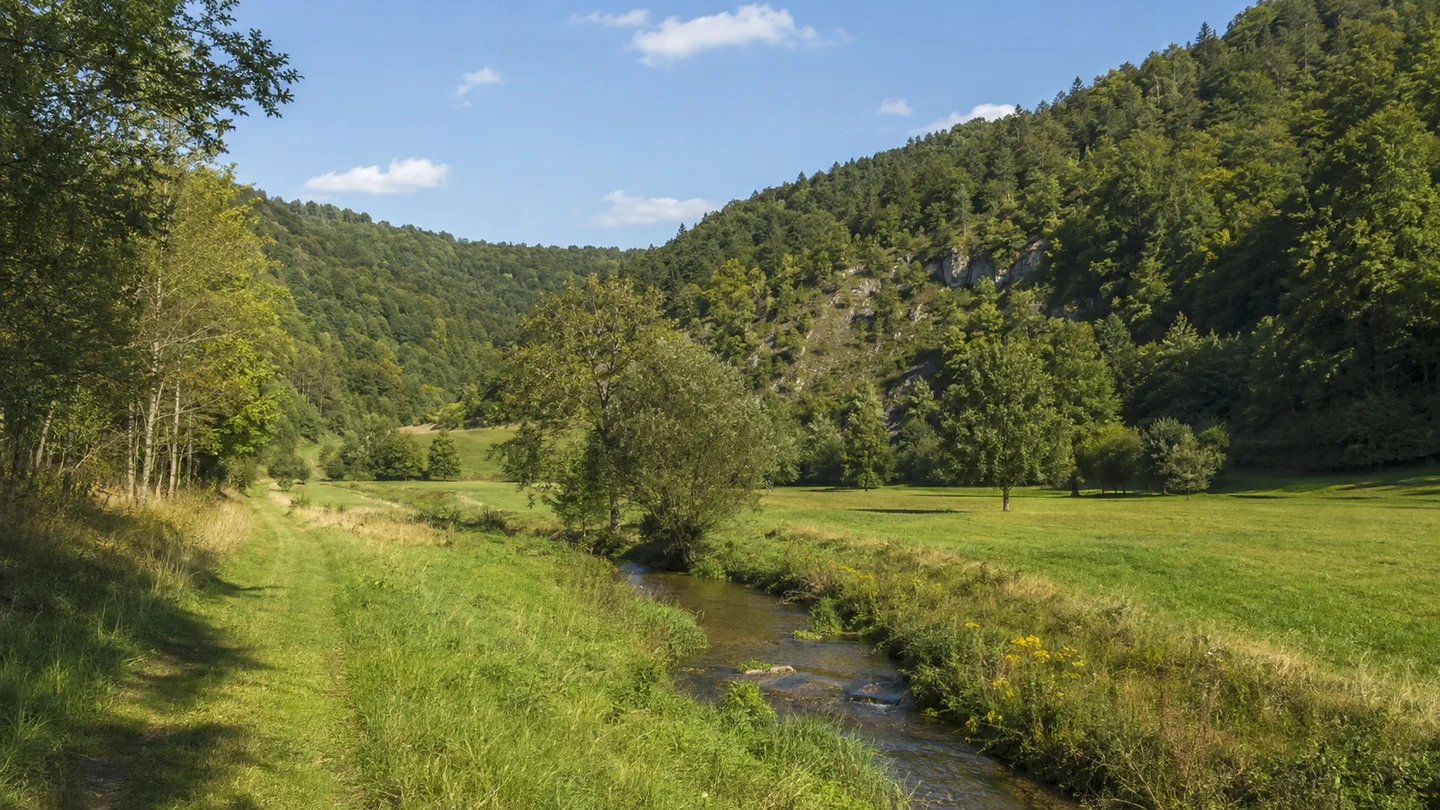 Pommelsbrunn: Pommelsbrunn Ortsmitte: Högenbachtal bei Pommelsbrunn: Schmales grünes Tal bei Pommelsbrunn mit kleinem Bach, Wiesen und bewaldeten Jurahängen, keine hohen Berge.