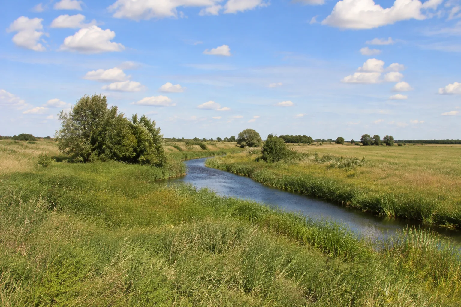Dedelower Niederung: Wiesen und schmaler Wasserlauf mit lockerem Gehölzbestand in offener Agrarlandschaft