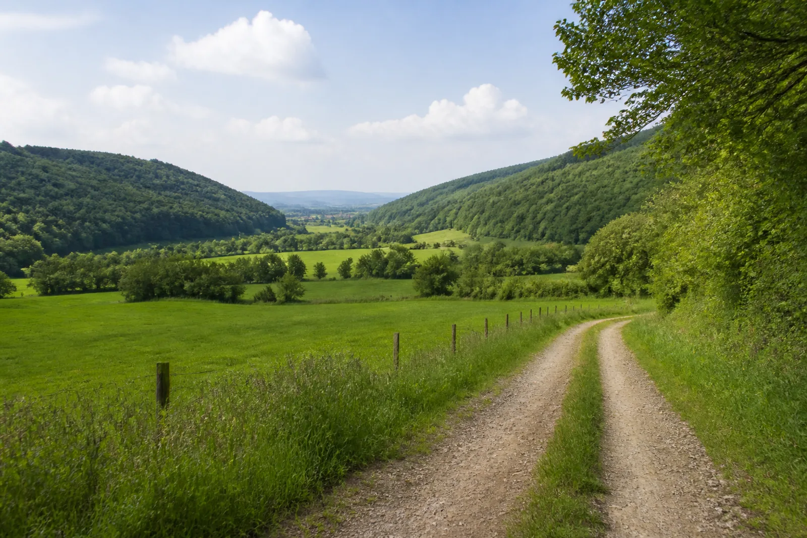 Blick durch das grüne Eggetal