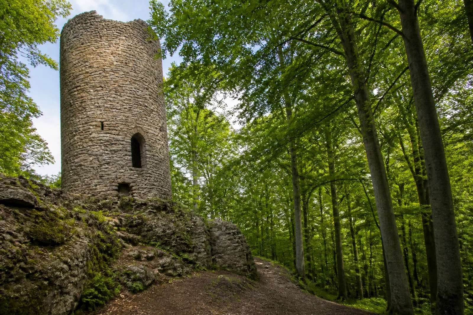 Preußisch Oldendorf: Burgruine Limberg im Wald