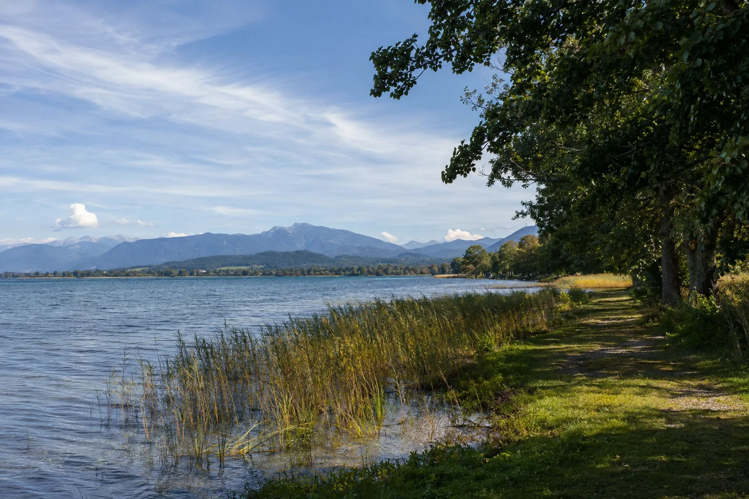 Prien-Stock: weites Chiemseewasser an flachem bewachsenem Festlandufer