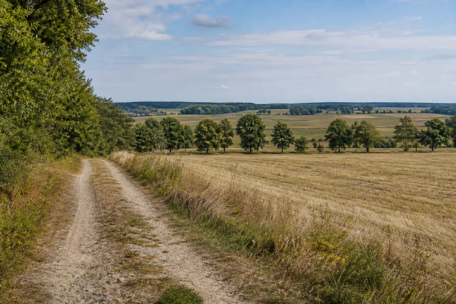 Kyritzer Feldlandschaft: weite märkische Felder mit Baumreihen und niedrigem Kiefernwaldhorizont
