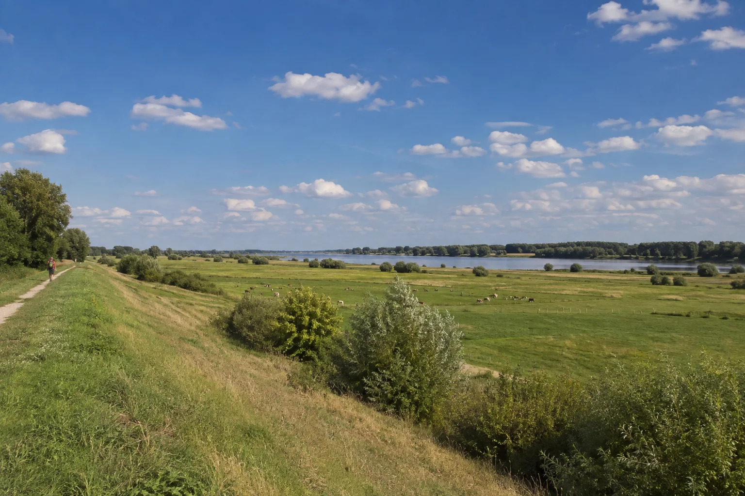 Prignitz: Lenzen (Elbe): Prignitzer Elbtalaue: weite flache grüne Wiesen mit Weiden, Deich und einem entfernten breiten Fluss
