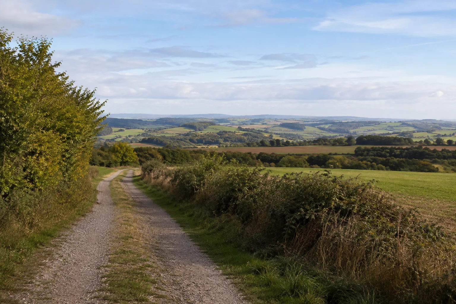 Dausfelder Höhe: offener Feldweg mit Hecken, Wiesen und weiten niedrigen Höhenzügen.