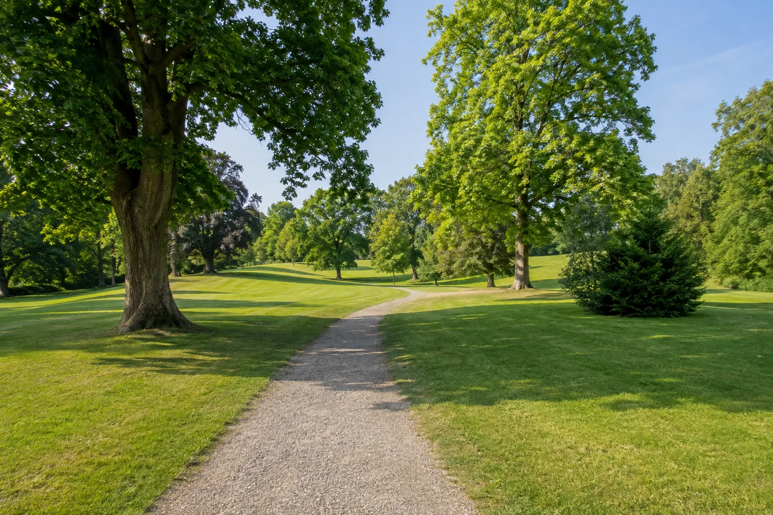 Putbus: Geschwungener Kiesweg zwischen Rasenflächen und alten Laubbäumen im Putbuser Landschaftspark