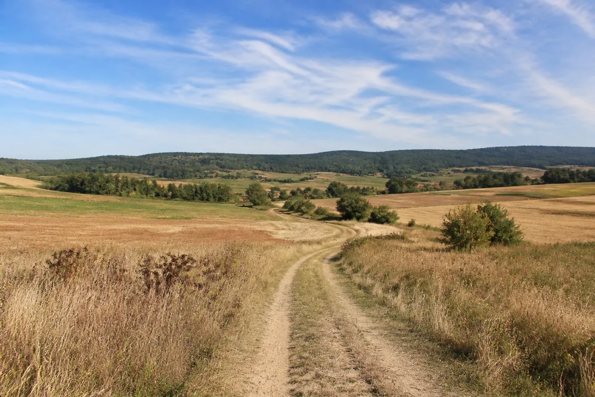 Quedlinburg: Feldweg im offenen Harzvorland bei Quedlinburg