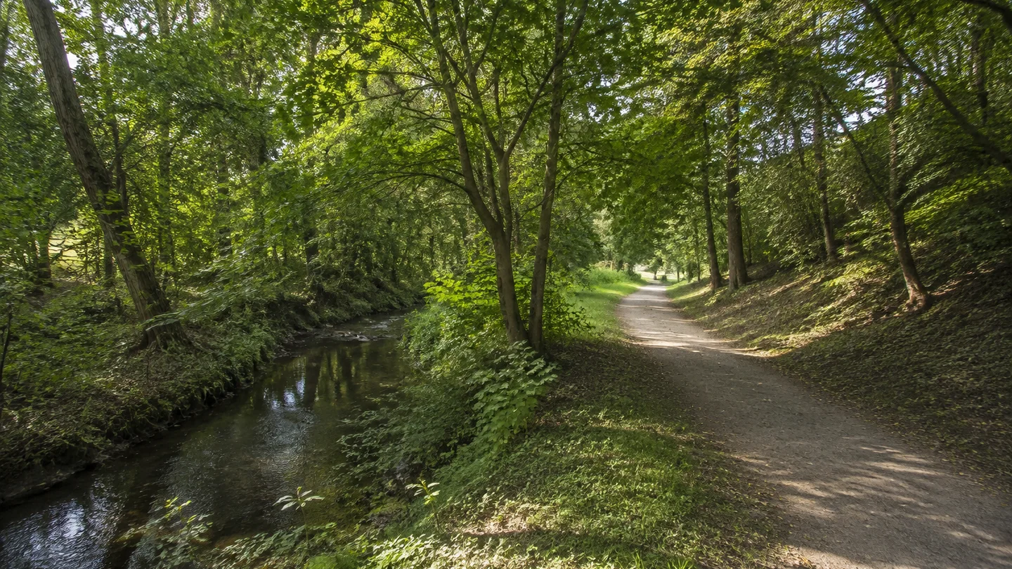 Querfurt: Altstadt am Thalgarten: Querfurter Thalgarten: Schmaler grüner Talpark mit kleinem Bach, Laubbäumen und einfachem Spazierweg am historischen Stadtrand