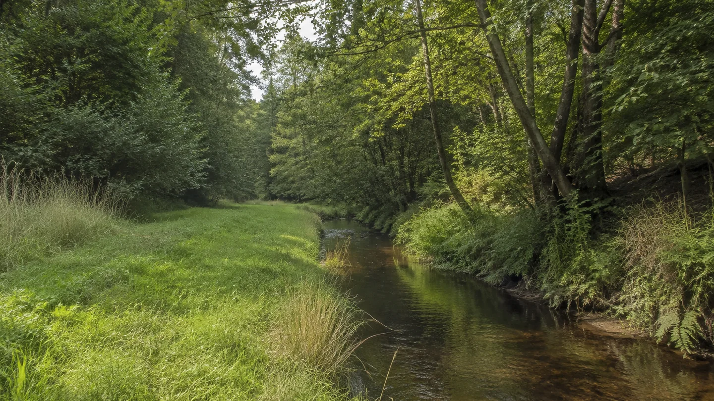 Radeberg: Schloss Klippenstein: Hüttertal: kleiner gewundener Fluss zwischen bewaldeten niedrigen Hängen und schmaler Talwiese