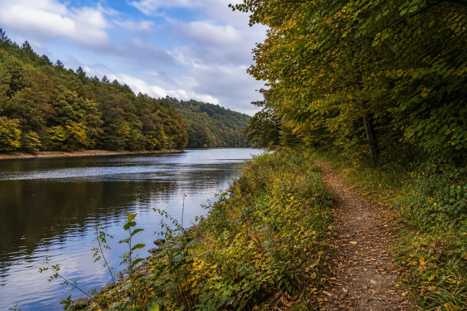 Waldweg an der Wuppertalsperre