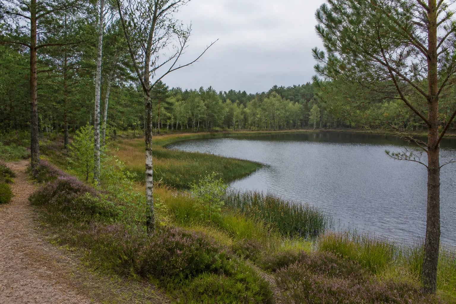 Moorsee Kranenmeer bei Raesfeld