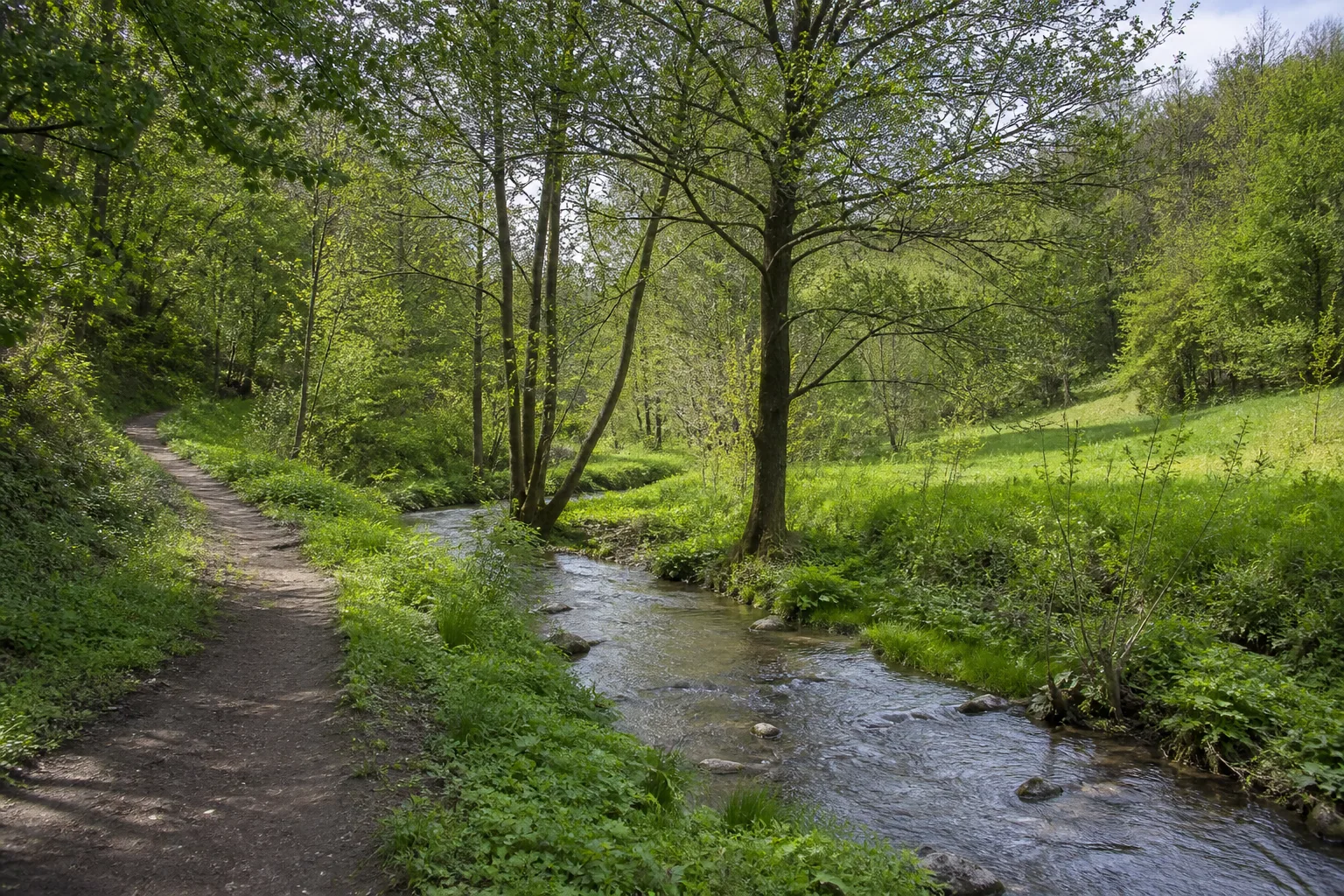 Wanderweg entlang der Anger in einem bewaldeten Wiesental bei Ratingen