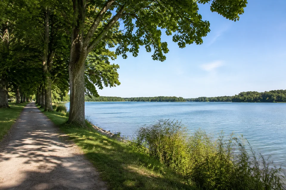 Ratzeburger Stadtufer: Parkartiger Uferweg mit großen Laubbäumen und Blick auf offenes Wasser, ohne erfundene Landmarken