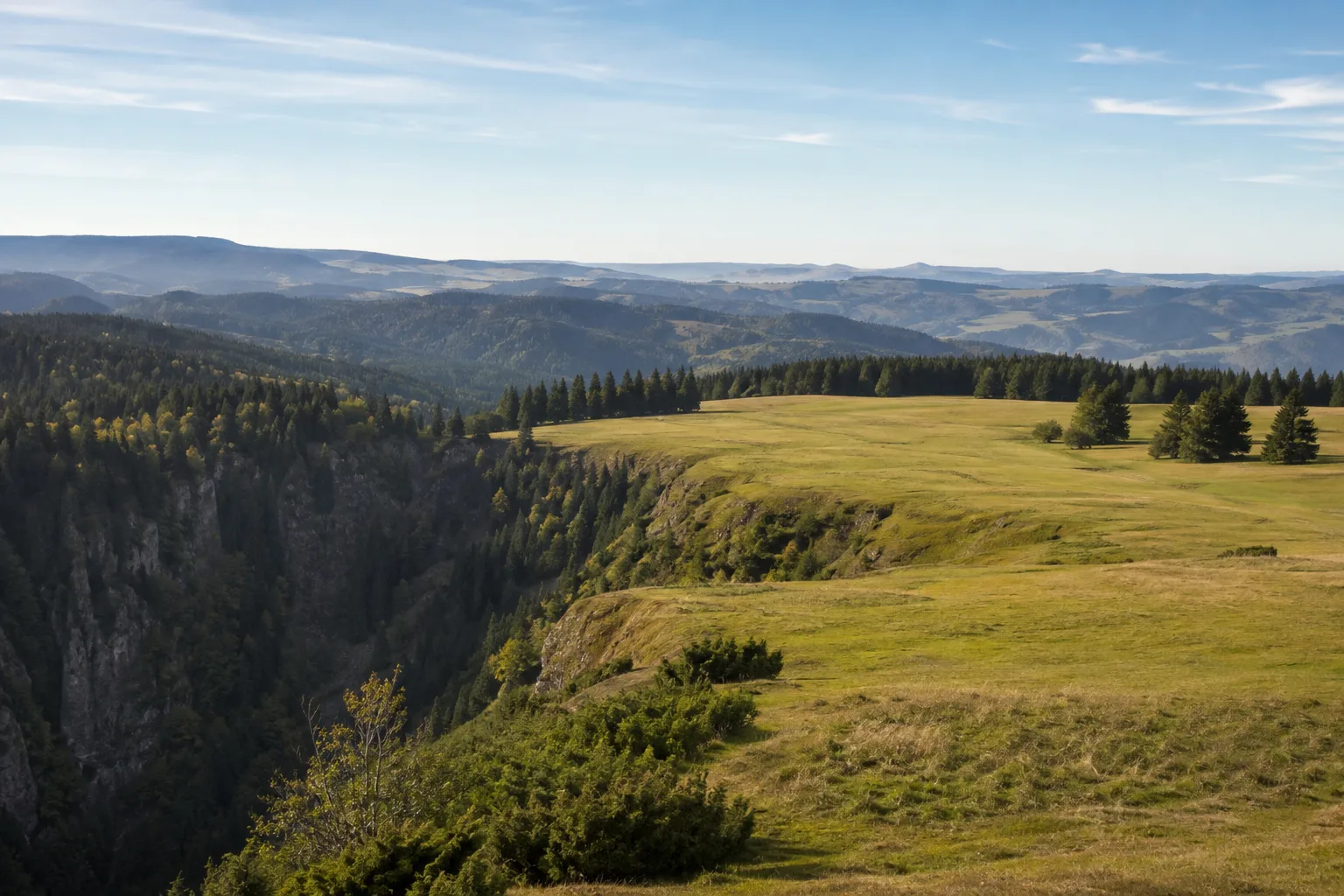 Breitnauer Höhe: offene Hochwiesen oberhalb des engen Höllentals