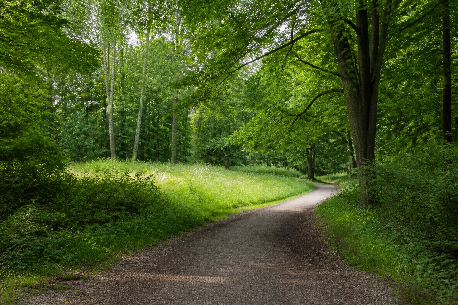 Waldweg durch die Brandheide bei Recklinghausen-Suderwich